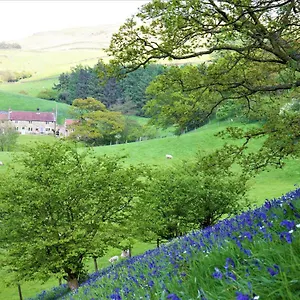 Holiday home Bluebells